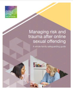 Managing risk and trauma after online sexual offending: A whole-family safeguarding guide